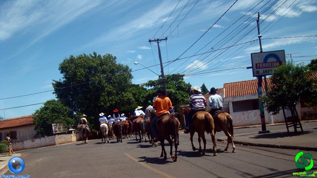 DSC01212.jpg