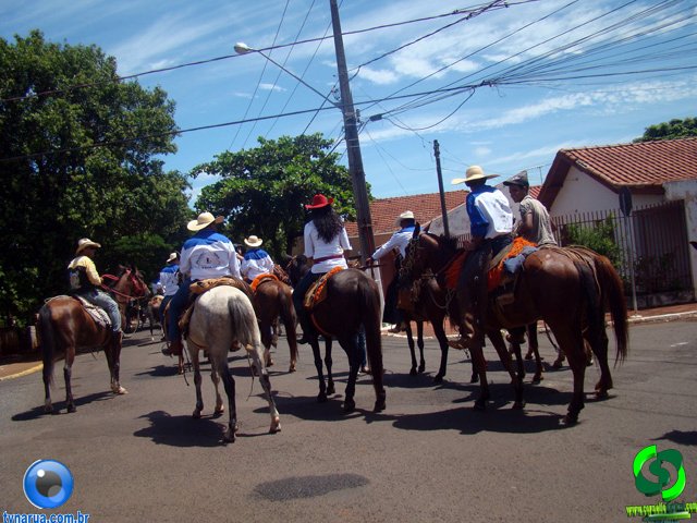 DSC01213.jpg