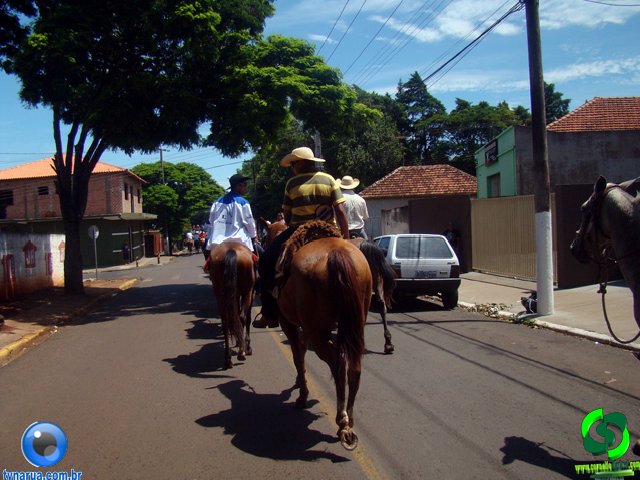 DSC01217.jpg