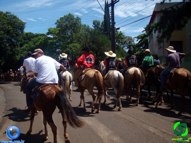 DSC01223.jpg
