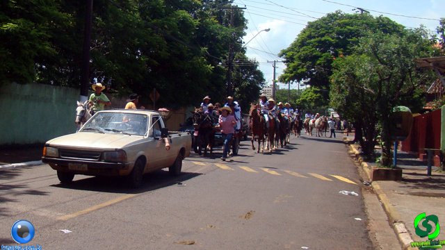 DSC01224.jpg