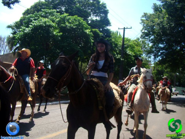 DSC01229.jpg