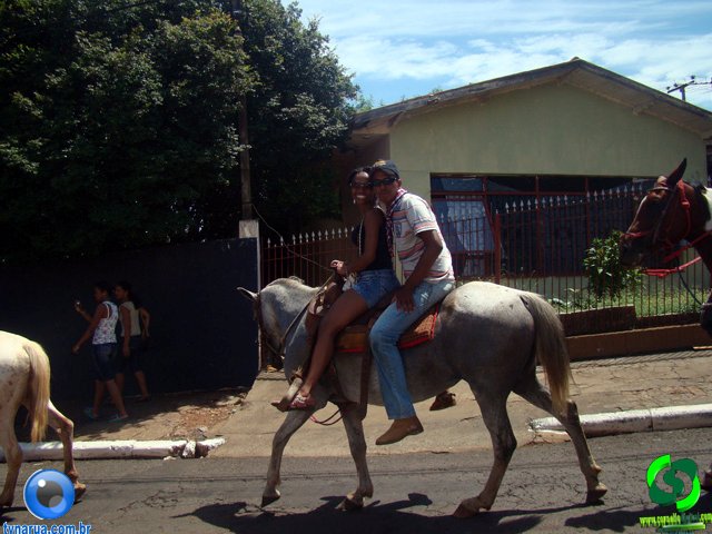 DSC01231.jpg