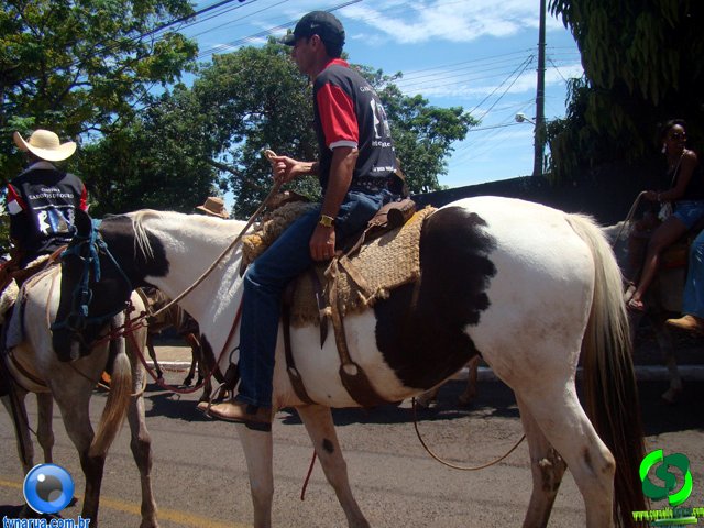 DSC01234.jpg