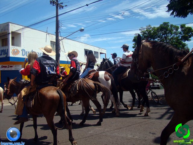 DSC01240.jpg