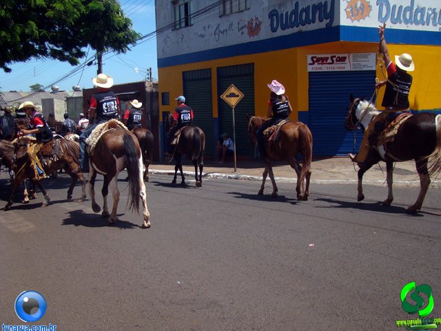 DSC01243.jpg