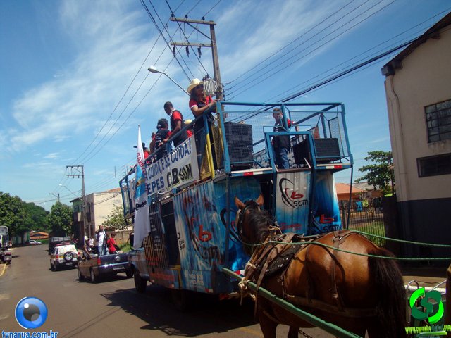 DSC01245.jpg