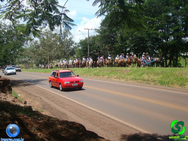DSC01271.jpg