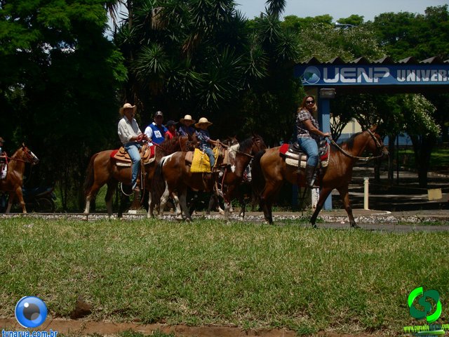 DSC01278.jpg