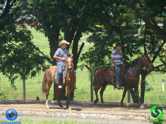DSC01289.jpg