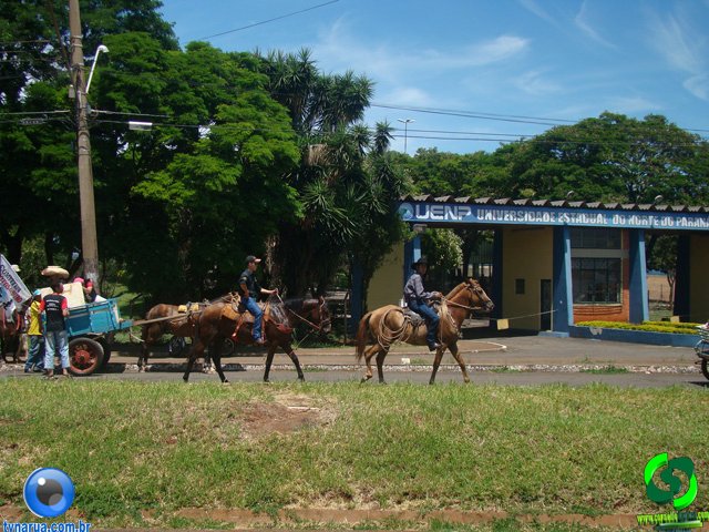DSC01299.jpg