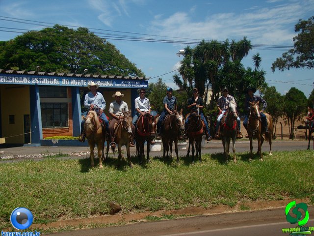 DSC01302.jpg