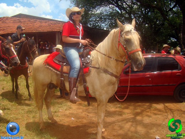 DSC01381.jpg