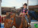 DSC00849.jpg