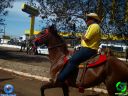 DSC00865.jpg