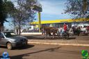 DSC00870.jpg