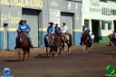 DSC00877.jpg