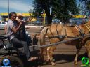 Filename=DSC00926.jpg
Filesize=100KiB
Dimensions=640x480
Date added=Feb 20, 2012 DSC00926.jpg