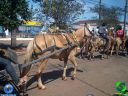 DSC00928.jpg