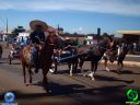 DSC00978.jpg