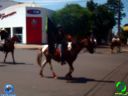 DSC01063.jpg