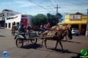 DSC01079.jpg