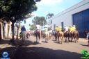 DSC01085.jpg