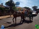 DSC01091.jpg