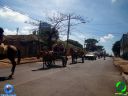 DSC01093.jpg