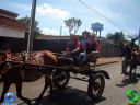 DSC01095.jpg