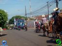 DSC01100.jpg