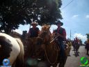 DSC01113.jpg