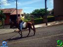 DSC01157.jpg