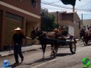 DSC01170.jpg