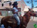 DSC01193.jpg