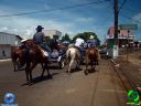 DSC01200.jpg