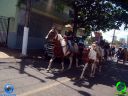 DSC01204.jpg