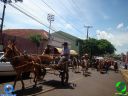 DSC01207.jpg