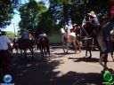 DSC01226.jpg