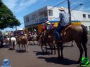 DSC01241.jpg