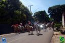 DSC01242.jpg