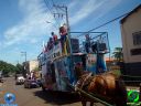 DSC01245.jpg