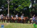 DSC01274.jpg