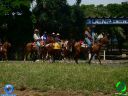 DSC01278.jpg
