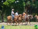 DSC01281.jpg