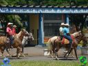 DSC01285.jpg