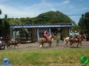 DSC01286.jpg