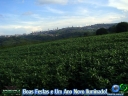 DSC08547.jpg