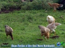 DSC08565.jpg