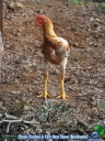 DSC08567.jpg